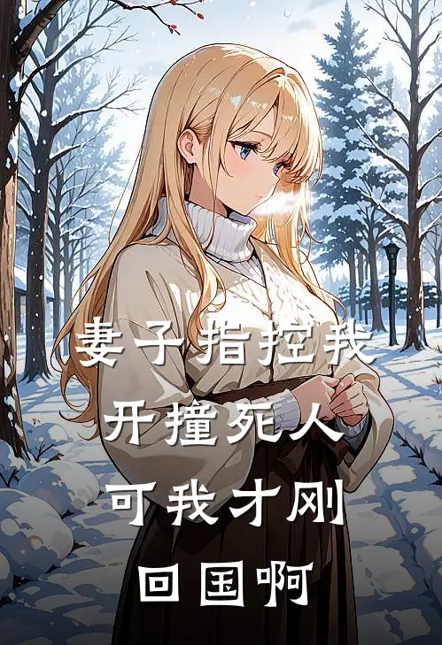 妻子指控我开撞死人，可我才刚回国啊